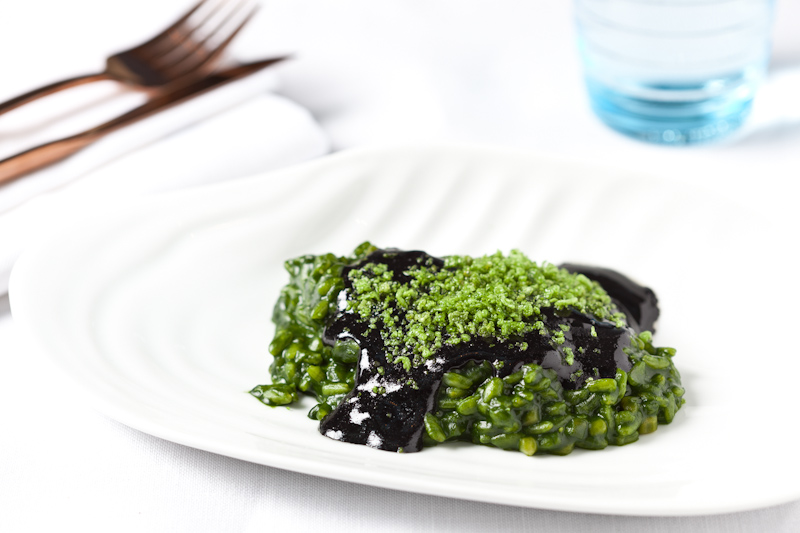 Arroz con plancton